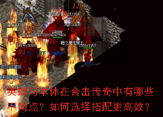 Ӣ뱾ںϻЩͬ㣿ѡЧ