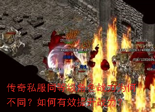 ˽ͬȼɫսΪβͬЧս