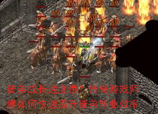 ͽܳɳٶϷʦοͽܱҵЧ