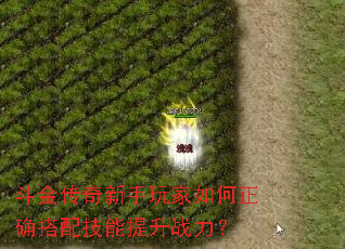 ȷ似ս