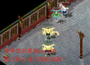 淨ʦˢbossСȡʤ