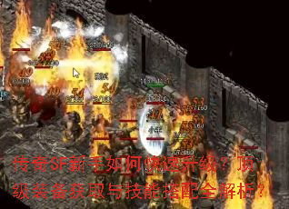 SFοװȡ뼼ܴȫ