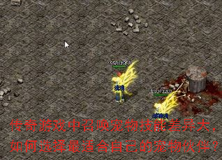 Ϸٻ＼ܲѡʺԼĳ飿