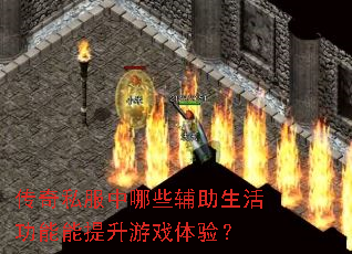 ˽ЩϷ飿