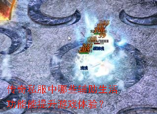 ˽ЩϷ飿