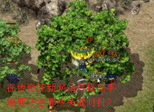 ڴSFվѰҸҪעЩؼʱ