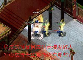 脆皮法师如何应对高爆发敌人?心法传奇生存技巧有哪些? 脆皮法师如何应对高爆发敌人?心法传奇生存技巧有哪些?