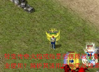 䴫ָǷսʿְҵʹãʵսЧ