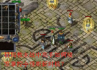 祖玛教主战中高手如何精准掌控小怪刷新时机? 祖玛教主战中高手如何精准掌控小怪刷新时机?