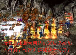 传奇开服后为何达到30级必须加入行会?快速升级秘诀大公开? 传奇开服后为何达到30级必须加入行会?快速升级秘诀大公开?