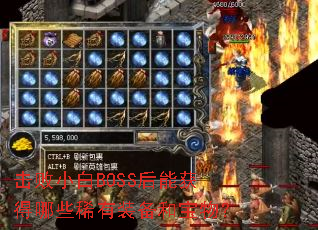 击败小白BOSS后能获得哪些稀有装备和宝物? 击败小白BOSS后能获得哪些稀有装备和宝物?