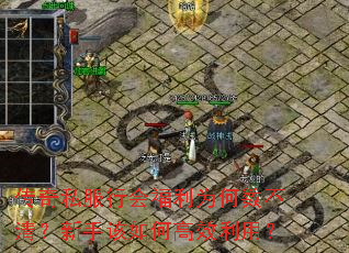 传奇私服行会福利为何数不清?新手该如何高效利用? 传奇私服行会福利为何数不清?新手该如何高效利用?