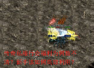 传奇私服行会福利为何数不清?新手该如何高效利用? 传奇私服行会福利为何数不清?新手该如何高效利用?