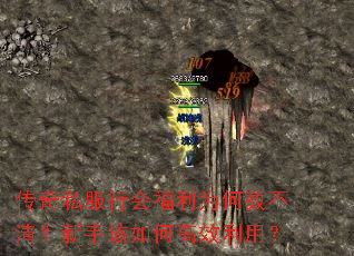 传奇私服行会福利为何数不清?新手该如何高效利用? 传奇私服行会福利为何数不清?新手该如何高效利用?