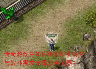传奇游戏中如何根据职业特性与战斗需求选择适合武器? 传奇游戏中如何根据职业特性与战斗需求选择适合武器?