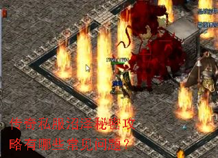 传奇私服沼泽秘密攻略有哪些常见问题? 传奇私服沼泽秘密攻略有哪些常见问题?