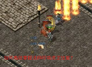 如何高效掌握法师呼唤虎卫技能? 如何高效掌握法师呼唤虎卫技能?