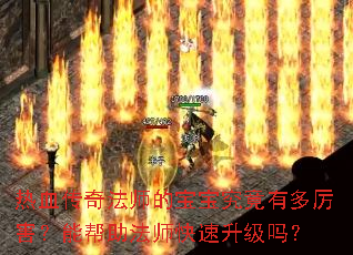 热血传奇法师的宝宝究竟有多厉害?能帮助法师快速升级吗? 热血传奇法师的宝宝究竟有多厉害?能帮助法师快速升级吗?
