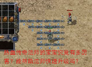 热血传奇法师的宝宝究竟有多厉害?能帮助法师快速升级吗? 热血传奇法师的宝宝究竟有多厉害?能帮助法师快速升级吗?
