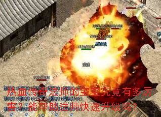 热血传奇法师的宝宝究竟有多厉害?能帮助法师快速升级吗? 热血传奇法师的宝宝究竟有多厉害?能帮助法师快速升级吗?