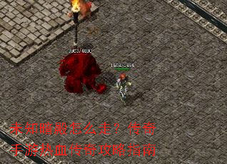 未知暗殿怎么走?传奇手游热血传奇攻略指南 未知暗殿怎么走?传奇手游热血传奇攻略指南