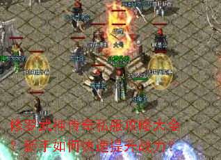 修罗武神传奇私服攻略大全?新手如何快速提升战力? 修罗武神传奇私服攻略大全?新手如何快速提升战力?
