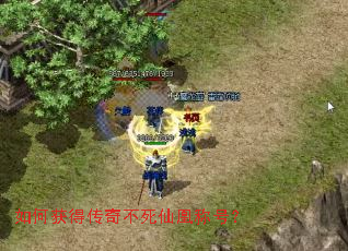 如何获得传奇不死仙凰称号? 如何获得传奇不死仙凰称号?