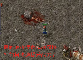 最新麻将传奇私服攻略?如何快速提升战力? 最新麻将传奇私服攻略?如何快速提升战力?