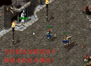 法师职业如何应对不同版本的战斗挑战? 法师职业如何应对不同版本的战斗挑战?