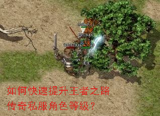 ��ο�����������֮·����˽����ɫ�ȼ���