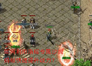 �����������ר��ɳ�Ǿ��׿�������ս����