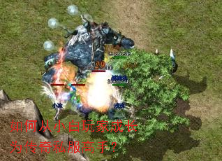 ��δ�С����ҳɳ�Ϊ����˽�����֣�