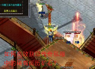 ��θ�Ч��ȡ����˽���е�ϡ��������ʯ��