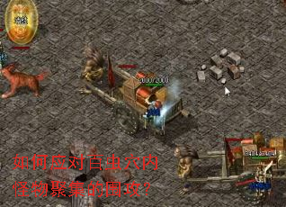 ���Ӧ�԰ٳ�Ѩ�ڹ���ۼ���Χ����