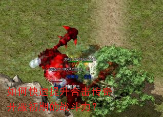 ��ο��������ϻ����濪�����ڵ�ս������