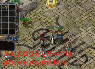 如何有效提升弓箭手左边拟态传奇游戏攻略技巧? 如何有效提升弓箭手左边拟态传奇游戏攻略技巧?