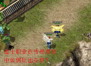 ��ʿְҵ�ڴ�����Ϸ��������������