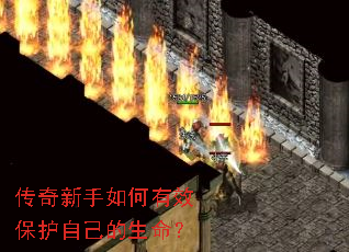 �������������Ч�����Լ���������