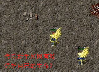 �������������Ч�����Լ���������