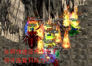 ��ο��������������ο�������ս����