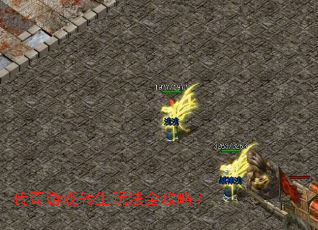 传奇游戏转生玩法全攻略? 传奇游戏转生玩法全攻略?