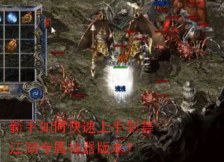 ������ο������ֽ��轭��ר�������汾��