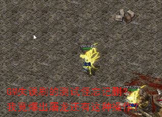 GMʧ��ˢ�Ĳ��Թ�����ɾ���Ҿ����������������ֲ�����