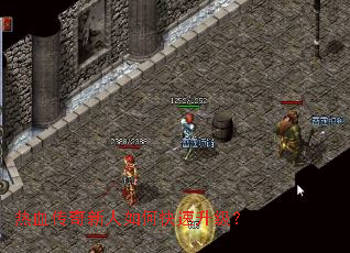 热血传奇新人如何快速升级? 热血传奇新人如何快速升级?