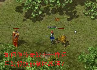 �������սʿһ������ս�ۼ�����ʤս����