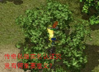 ����˽��ʵ����֤�����к���Ҫ���壿