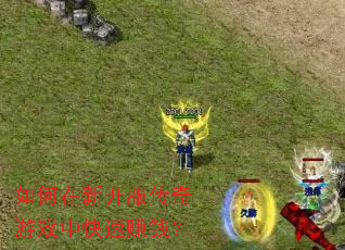 如何在新开服传奇游戏中快速赚钱? 如何在新开服传奇游戏中快速赚钱?