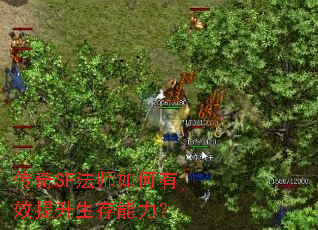 传奇SF法师如何有效提升生存能力? 传奇SF法师如何有效提升生存能力?