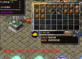 ����������������λ�������