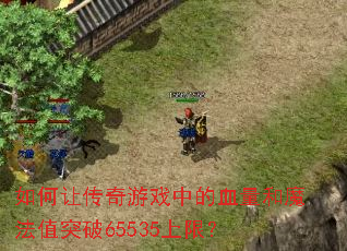如何让传奇游戏中的血量和魔法值突破65535上限? 如何让传奇游戏中的血量和魔法值突破65535上限?